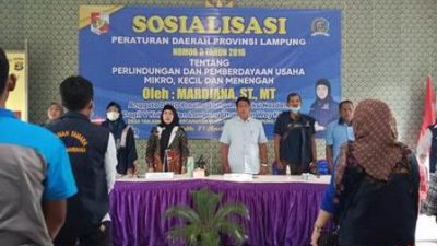 Mardiana Sosialisasikan Perda Perlindungan UMKM di Lampung Utara