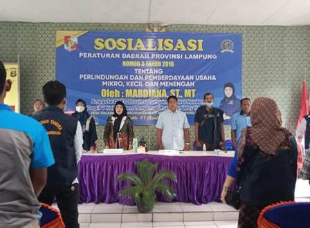 Mardiana Sosialisasikan Perda Perlindungan UMKM di Lampung Utara
