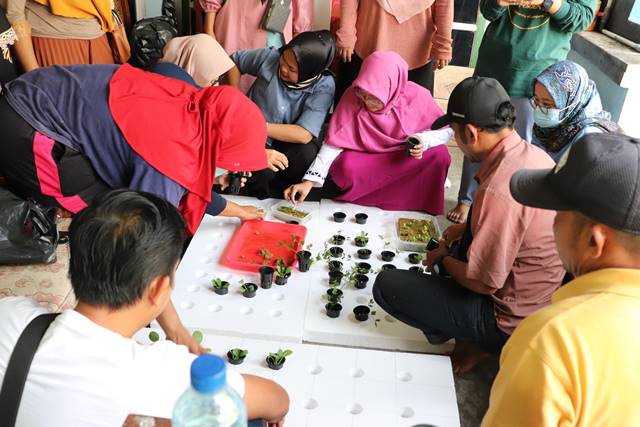 Dosen Perikanan Unila Latih Kelompok Mina Rumpun Cahaya Pringsewu untuk Terapkan  Aplikasi Akuaponik Terapung