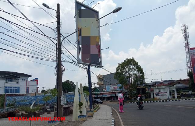 Soal Penertiban Papan Reklame, Ini Kata Kepala Satpol-PP Lampung Utara