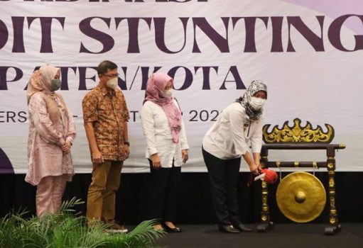 Wagub Lampung  Buka Rakor Tim Audit Stunting 