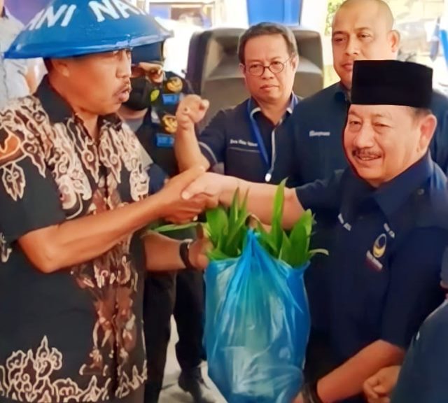 DPW Petani Nasdem Serahkan 20 Ribu Bibit Pohon Produktif kepada Masyarakat Tulangbawang Barat