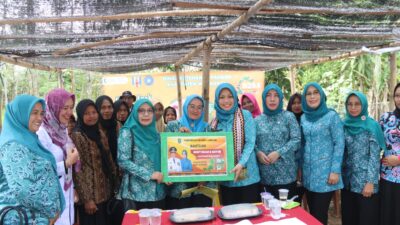 TP PKK Provinsi Lampung Kunjungan Kerja di Kabupaten Way Kanan