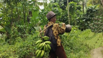Ikhtiar Petani Pinggir Kota Jaga Kelestarian Hutan Lampung