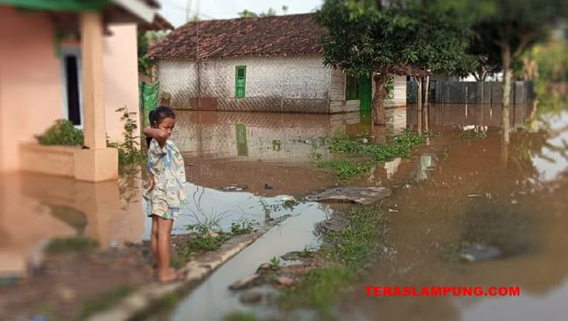 Sungai Sesah Meluap, Puluhan Rumah Warga Lampung Utara Terendam Banjir