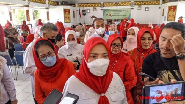 Insentif Guru di Bandarlampung Selama Lima Semester Belum Cair, Ini Penyebabnya