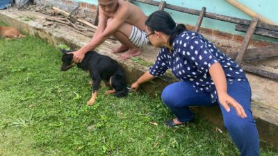 Cegah Penyakit Rabies, Distanak Lampura Lakukan Vaksinasi Anjing Liar