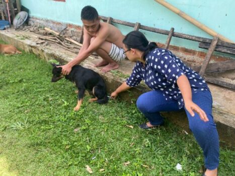 Cegah Penyakit Rabies, Distanak Lampura Lakukan Vaksinasi Anjing Liar