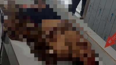 Terpergok, Terduga Pencuri Ayam Tewas Disabet Parang