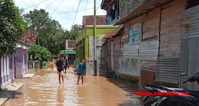 Banjir Rendam 6 Kecamatan, 700-an Warga Lampung Utara Mengungsi