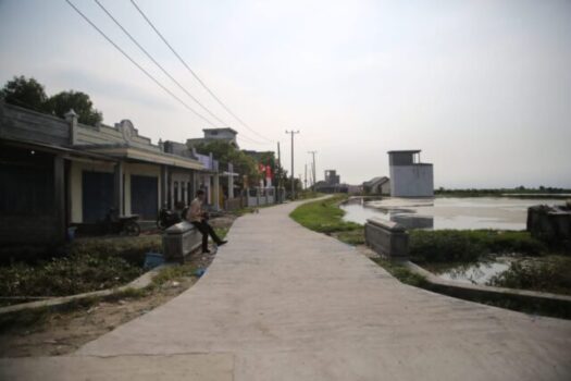 Bupati Lamsel Resmikan Jalan Cor Beton Dusun Kuala Jaya Kecamatan Sragi