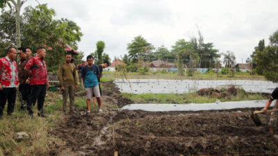 Petani Milenial Lampung Selatan Tanam Berbagai Komoditas Pertanian
