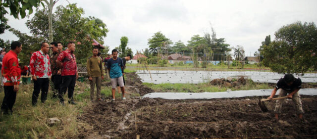Petani Milenial Lampung Selatan Tanam Berbagai Komoditas Pertanian