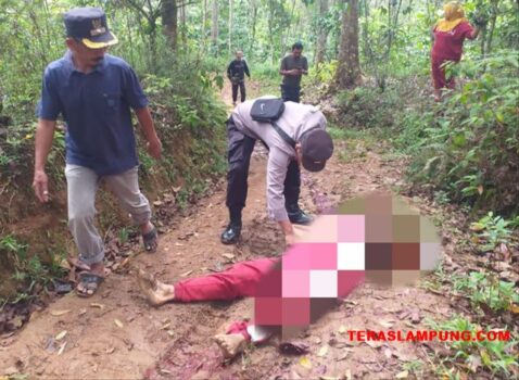 Pelaku Serahkan Diri, Ini Motif Pembunuhan di Desa Sinarjaya Lampung Utara