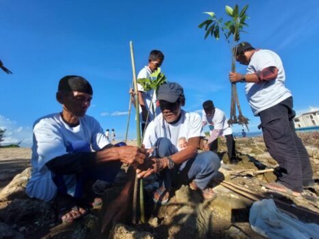 Peduli Lingkungan, Komunitas Nelayan Pesisir Lampung Ajak Warga Pesawaran Tanam Hutan Mangrove 