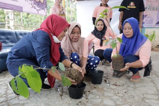 Bantu Perekonomian Warga, Mak Ganjar Lampung Bagikan 100 Bibit Kakao