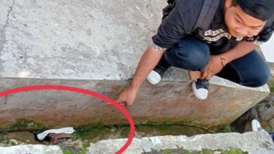 Pengelolaan Limbah Medis RSU Ryacudu Lampung Utara Diduga tidak Sesuai Standar