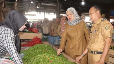 Wagub Lampung Pantau Ketersediaan dan Harga Pangan Jelang Hari Raya Idulfitri 1444 H