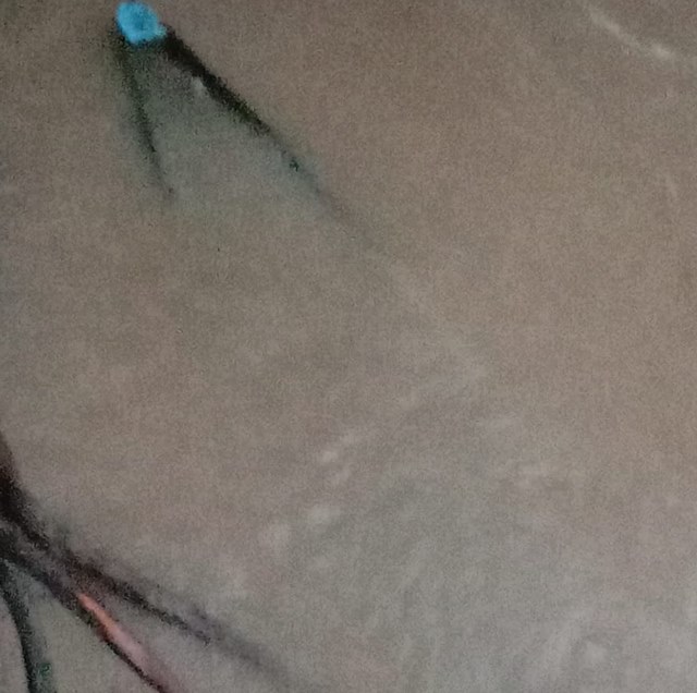 Perahu Korban Tenggelam di Aliran Way Abung Ditemukan, Pencarian Berlanjut