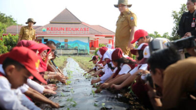 Tumbuhkan Jiwa Petani Sejak Dini, Bupati Lampung Selatan Ajak Anak SDN 3 Way Urang Tanam Bawang dan Cabai