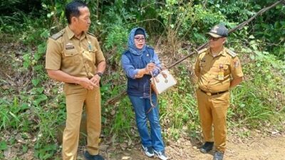 Mardiana Tinjau Jembatan Gantung Pekurun Utara-Prianganbaru