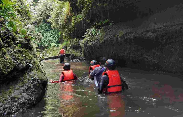 Dukung Festival Krakatau, Dishut Lampung Gelar Festival Wisata Hutan