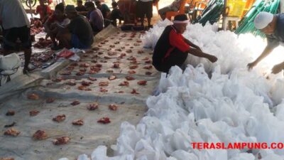 Sejumlah Lurah di Bandarlampung Keluhkan Permintaan Dana untuk Beli Sapi Kurban