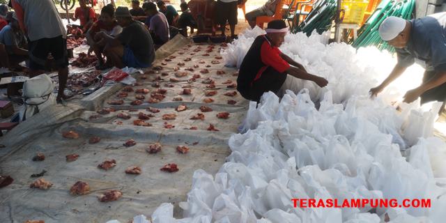 Sejumlah Lurah di Bandarlampung Keluhkan Permintaan Dana untuk Beli Sapi Kurban