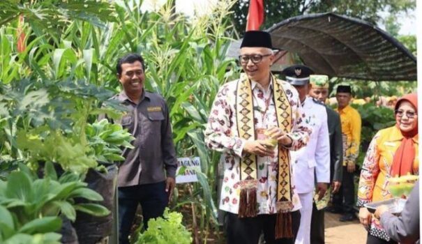 Lomba Desa Nasional, Tim Penilai Kunjungi Kampung Pujokerto