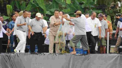 Gubernur Arinal Panen Perdana Udang Vaname di PKK Agropark Lampung