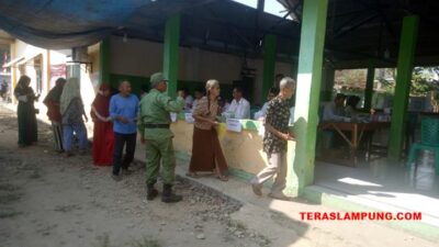 Ini Daftar Pemenang Pilkades Serentak 2023 Empat Kecamatan di Lampung Selatan