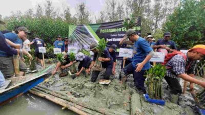 BPDAS WSS dan Pemprov Lampung Tanam Mangrove di Pasir Sakti