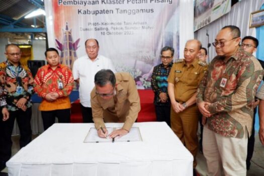 OJK dan TPAKD Provinsi Lampung Gelar Business Matching Pembiayaan Klaster Petani Pisang di Kabupaten Tanggamus
