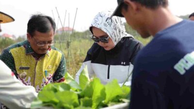 Panen Buah dan Sayur di Kebun PKK Agro Park Lampung, Ini Kata Riana Sari