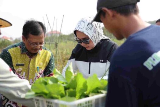 Panen Buah dan Sayur di Kebun PKK Agro Park Lampung, Ini Kata Riana Sari