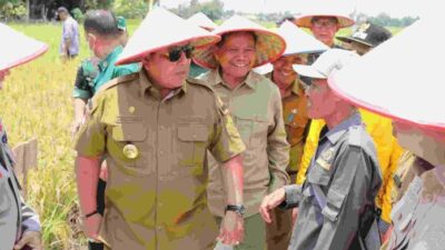 Gubernur Arinal Djunaidi Lakukan Panen Raya Padi di Kabupaten Lampung Tengah