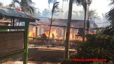Eks Musala SMAN 3 Lampung Utara Habis Dilalap Si Jago Merah