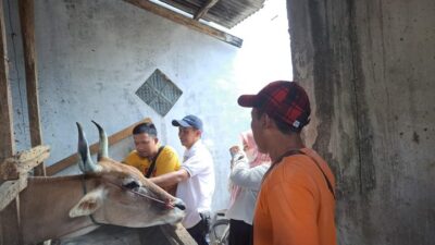 Disnakkeswan Provinsi Lampung dan Kota Metro Penuhi Target AUTS/K  2023