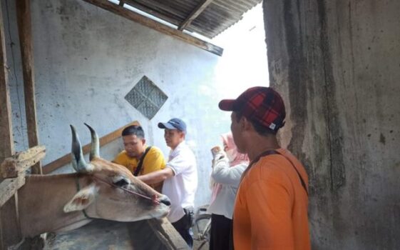 Disnakkeswan Provinsi Lampung dan Kota Metro Penuhi Target AUTS/K  2023