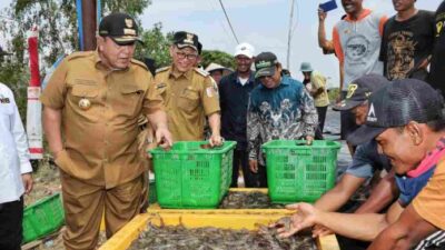 Gubernur Arinal Dorong Pertambakan Udang di Lampung Bangkit dan Berjaya Kembali