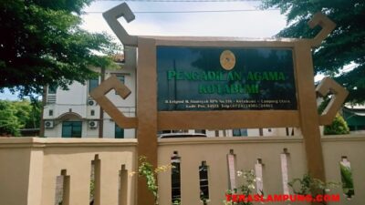Setahun, Puluhan Pelajar di Lampung Utara Hamil di Luar Nikah
