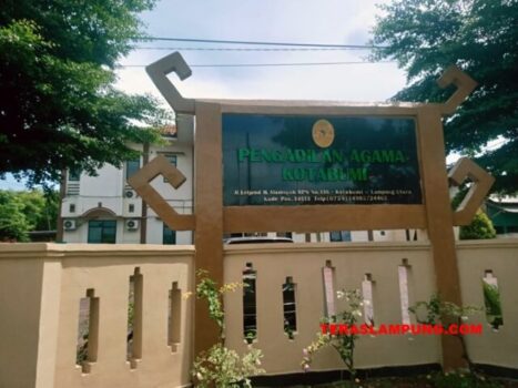 Setahun, Puluhan Pelajar di Lampung Utara Hamil di Luar Nikah