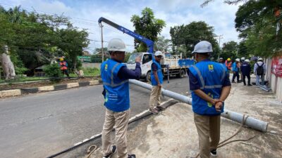 Pohon Tumbang Sebabkan Tiang Listrik Patah, PLN UID Lampung Gerak Cepat Normalkan Pasokan Listrik