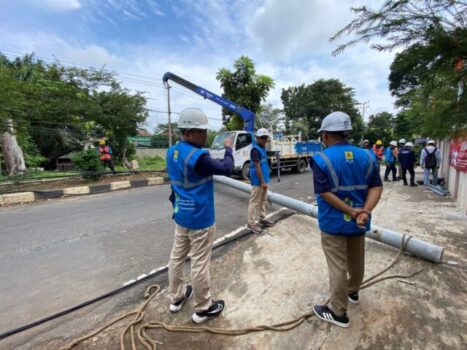Pohon Tumbang Sebabkan Tiang Listrik Patah, PLN UID Lampung Gerak Cepat Normalkan Pasokan Listrik