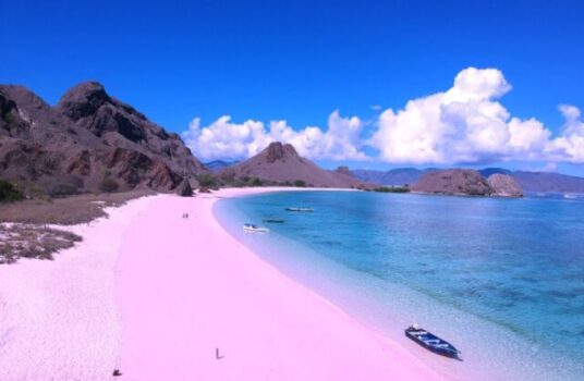 Pantai Pink di Labuhan Bajo/Foto: Flores Holliday