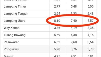 Lebih Satu Dekade, Jumlah Pengangguran Lampung Utara Selalu Masuk Tiga Besar Tertinggi di Lampung