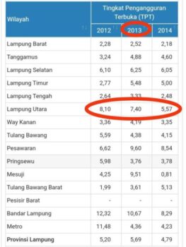 Lebih Satu Dekade, Jumlah Pengangguran Lampung Utara Selalu Masuk Tiga Besar Tertinggi di Lampung