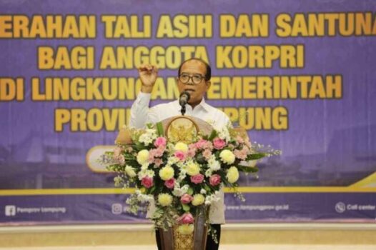 Pj. Gubernur Samsudin Serahkan Tali Asih kepada ASN yang Memasuki Masa Purnabakti