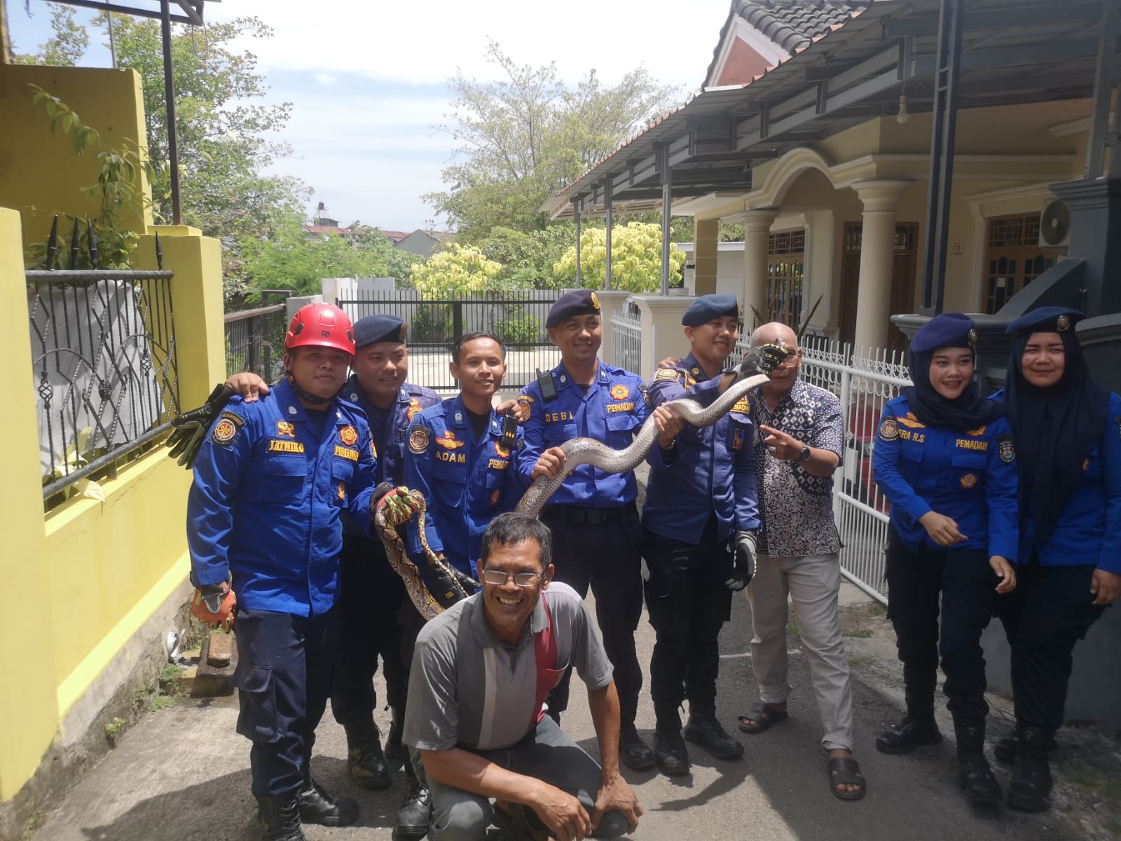 Petugas Damkar Bandarlampung Evakuasi Ular Sanca Kembang 2,5.M dari Rumah Warga