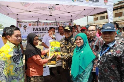 Pj. Gubernur Samsudin Pantau Bahan Kebutuhan Pokok di Pasar Kawasan Transmigrasi Mandiri Mesuji